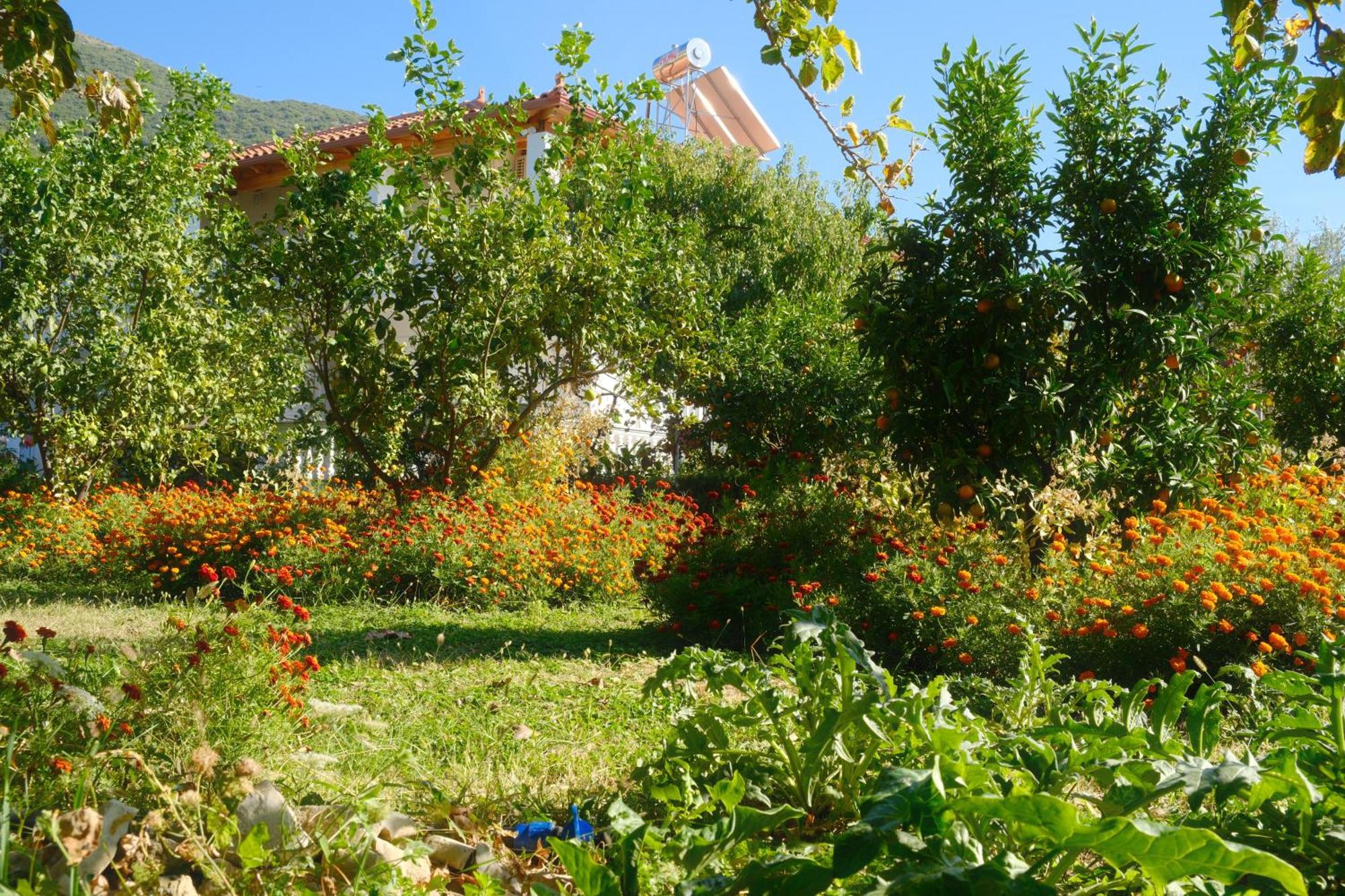 Helen Apartments Lukovë Екстериор снимка